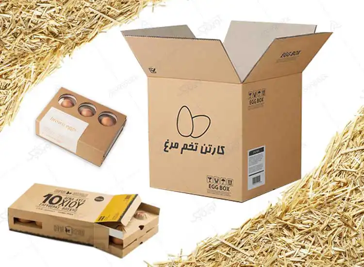 کارتن تخم مرغ
