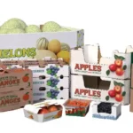 بسته بندی صیفی جات صادراتی